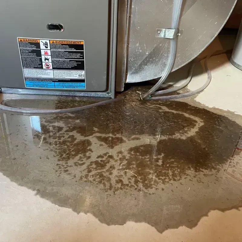 Appliance Leak Cleanup in Ramos, PR